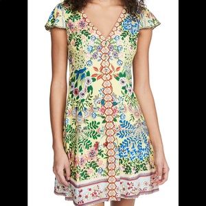 Alice and Olivia size 6 Hadley Floral Mini Fit + Flare Dress